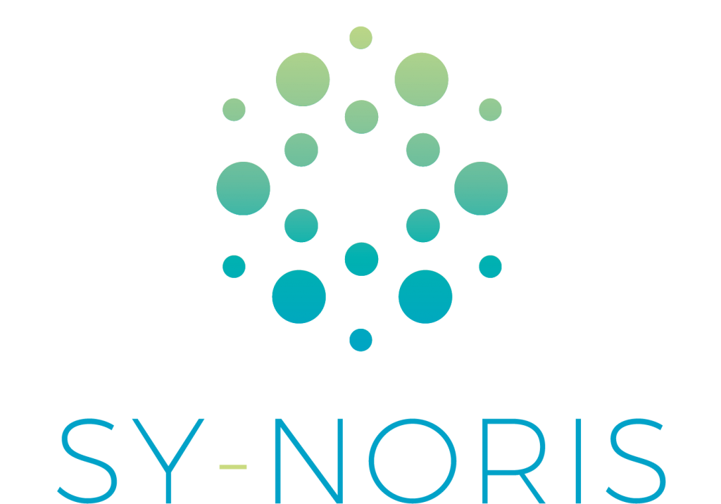 Logo SY-NORIS